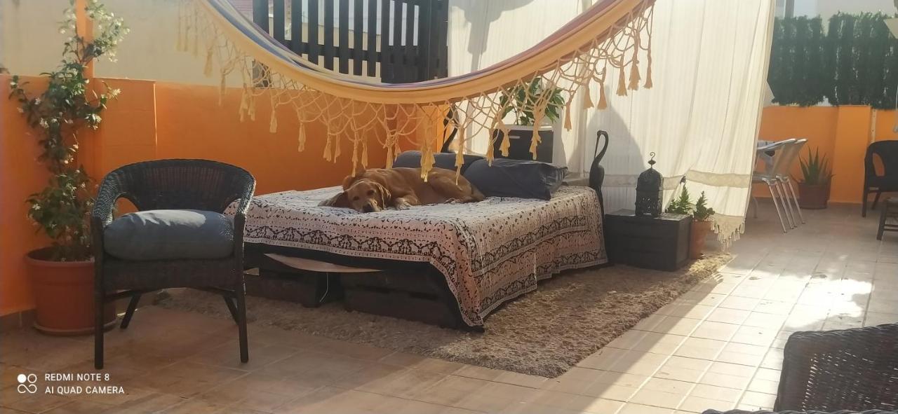 La Casita De Celia Leilighet Alicante Eksteriør bilde